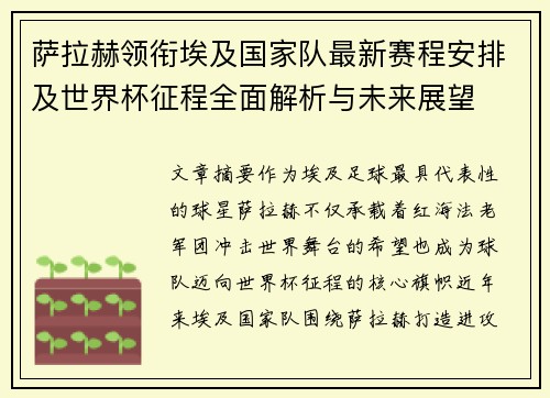萨拉赫领衔埃及国家队最新赛程安排及世界杯征程全面解析与未来展望